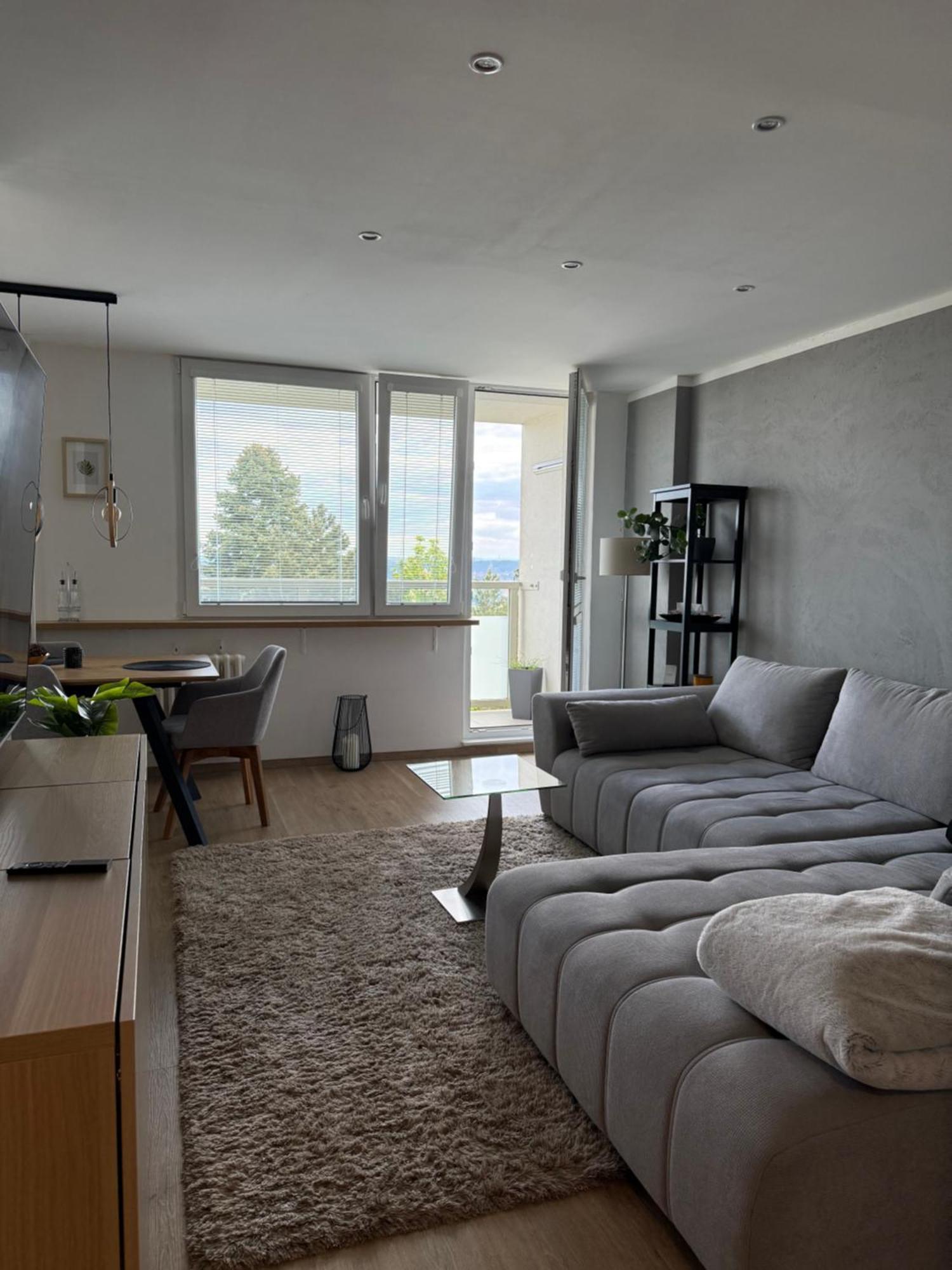 Apartment Lenka